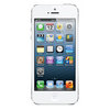 Apple iPhone 5 16Gb white - Клинцы